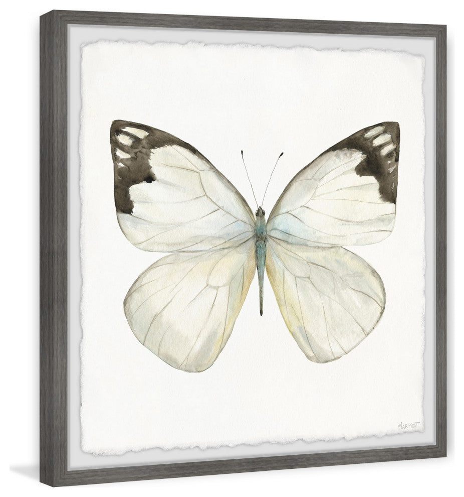 "Rainforest Butterfly" Framed Painting Print, 32x32