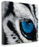 "Tiger Eye" By Jan Henderson, Giclee Print on Gallery Wrap Canvas, Ready to Hang