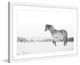 Marmont Hill, "Basking in the Sun" Framed Painting Print, 30x20