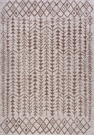 Tokay Bohemian Geometric Indoor/Outdoor Area Rug, Beige/Brown, 3' x 5'