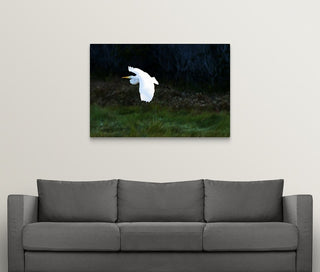 Egret in Flight 1 Wrapped Canvas Art Print, 48"x32"x1.5"
