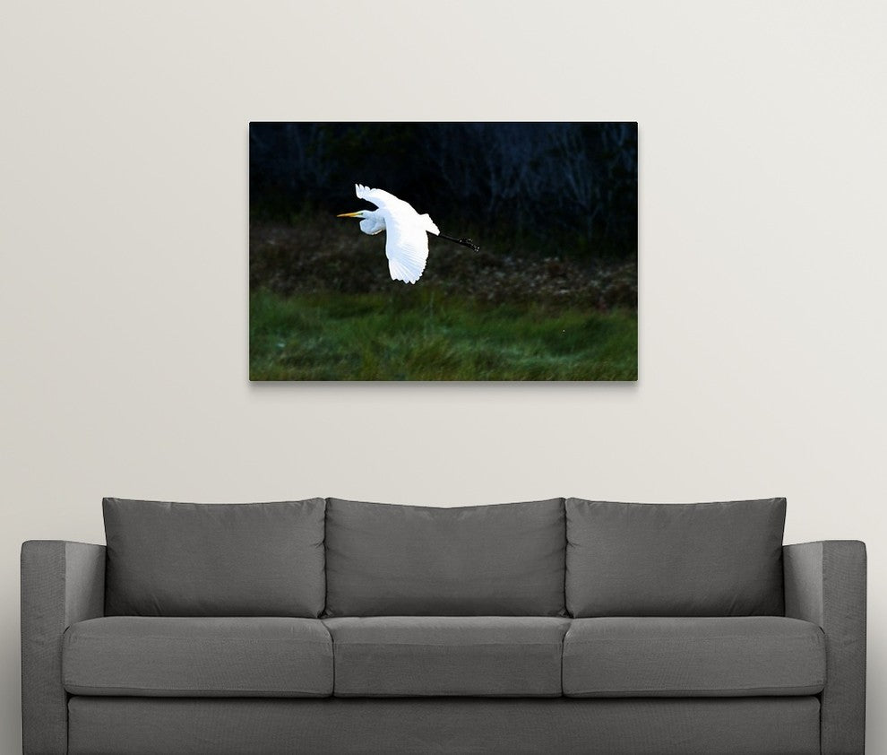 Egret in Flight 1 Wrapped Canvas Art Print, 48"x32"x1.5"