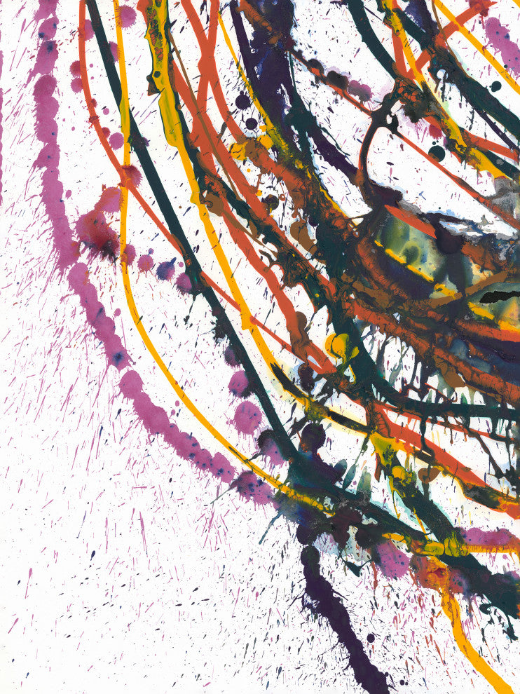36x48 Couleurs Primaries V, Unframed Artwork