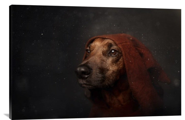 "The Night-Watchman" Stretched Canvas Giclee by Heike Willers, 36x24"