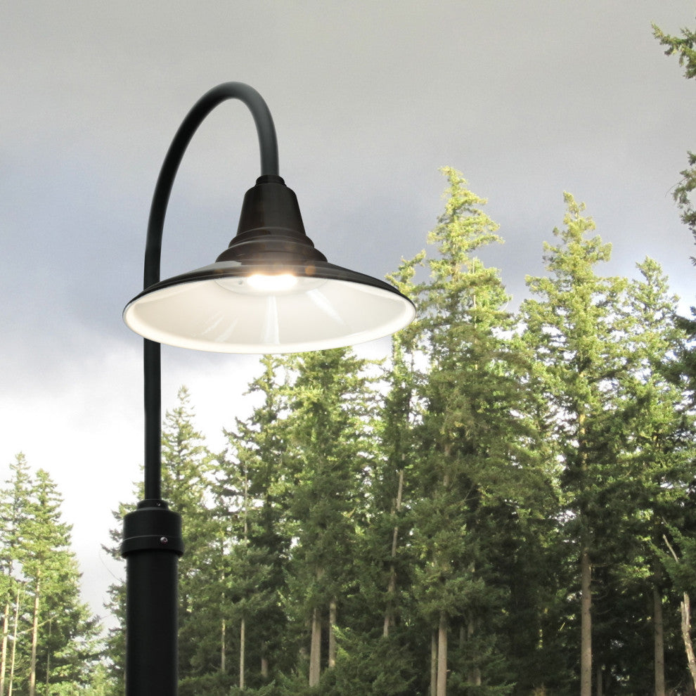 Cocoweb 12" Calla LED Outoor Post Light in Black With 11' Post