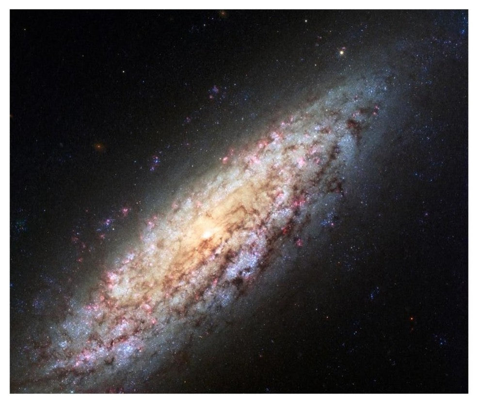 "Spiral Galaxy NGC6503" Digital Paper Print by NASA, 46"x39"