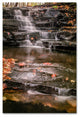 Jason Shaffer ''Hidden Falls 2'' Canvas Art, 30x47