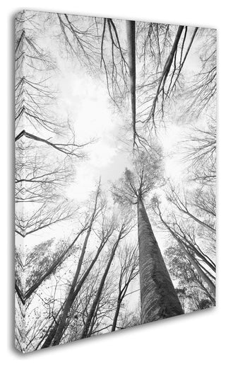 'Recall the Days' Canvas Art by Philippe Sainte-Laudy