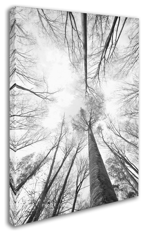 'Recall the Days' Canvas Art by Philippe Sainte-Laudy