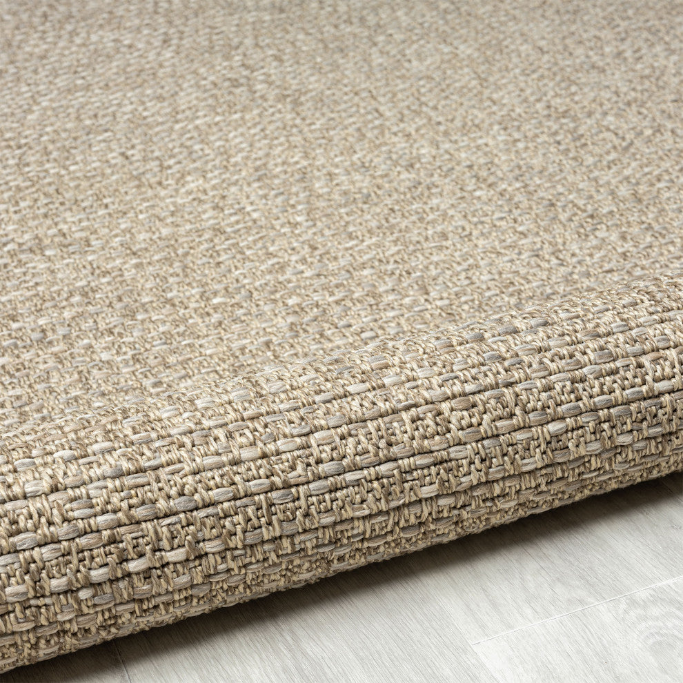 Paolo Modern Solid Brown Indoor Outdoor Area Rug, 2' x 3'