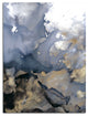 HomeRoots Chrysalis Original Design Canvas Art