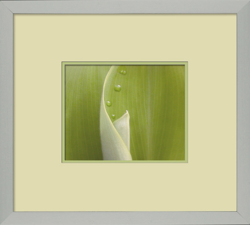 Fresh Cut 1, Giclee Reproduction Artwork