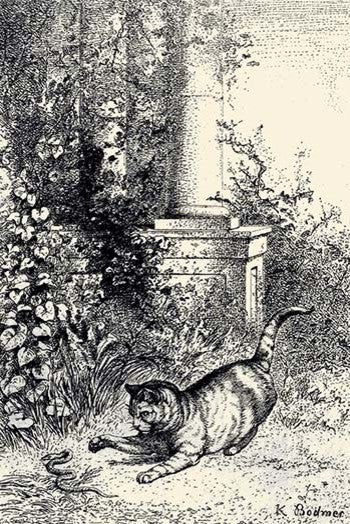 Cat Playing with Adder - Gallery Wrapped Canvas Art 28" x 42"