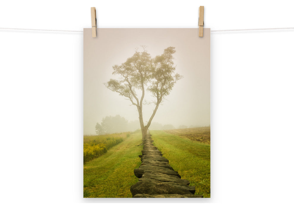 Wall Art Print Landscape Photograph Calming Morning Rural Unframed, 12" X 16"