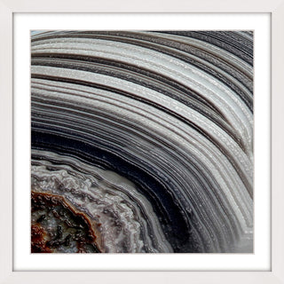 "Age Rings" Framed Art Print