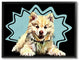 Happy Japanese Spitz Fluffy Dog Pop Art Pet11x14