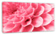 Pink Abstract Flower Petals, Floral Canvas Art Print, 32"x16"