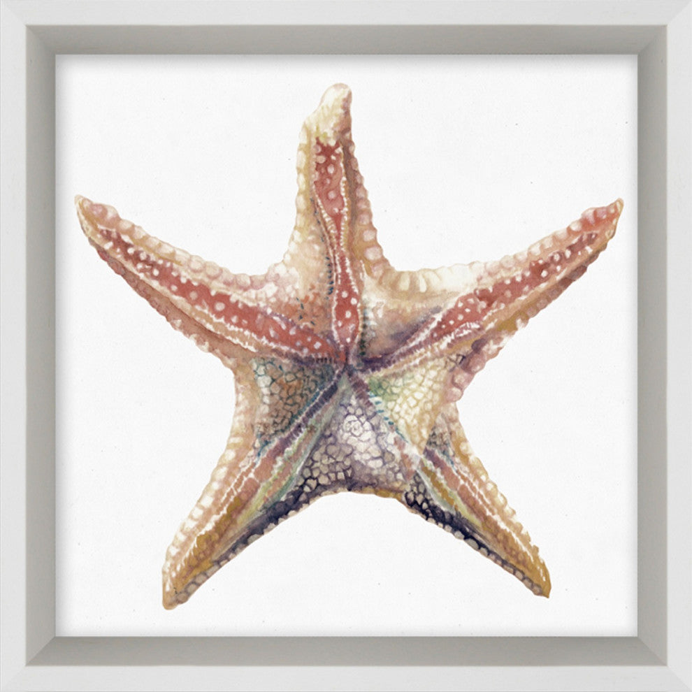 Aquatic Assortment 15, Giclee Reproduction Artwork