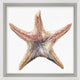 Aquatic Assortment 15, Giclee Reproduction Artwork