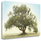 "Oak And Blue Sky" By William Guion, Giclee Print on Gallery Wrap Canvas