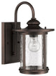 Cole Transitional 1-Light Rubbed Bronze Outdoor Wall Sconce
