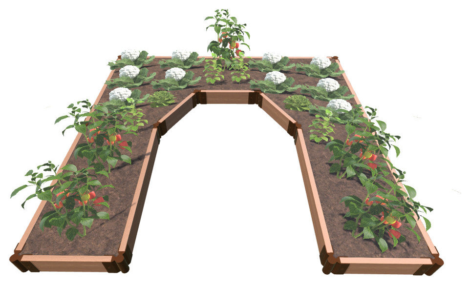 Classic Sienna Walk-In Topolski' 8'x8'x5.5" Raised Garden Bed, 2" Profile