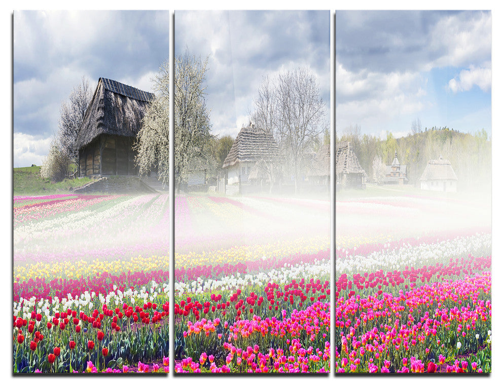 "Field of Tulips in Pirogovo" Photo Metal Wall Art, 3 Panels, 36"x28"