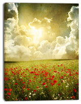 Wild Poppies on Cloudy Background, Extra Large Landscape Canvas Art, 30"x40"