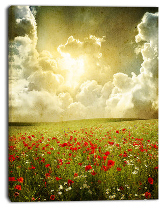 Wild Poppies on Cloudy Background, Extra Large Landscape Canvas Art, 30"x40"