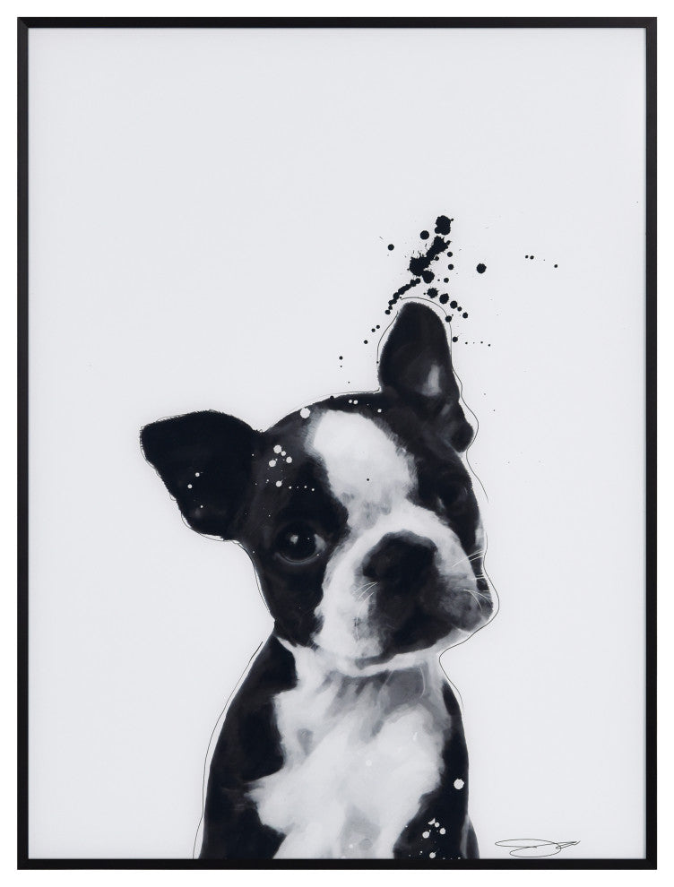 "Boston Terrier" Black and White Pet Art on Printed Glass with Anodized Frame