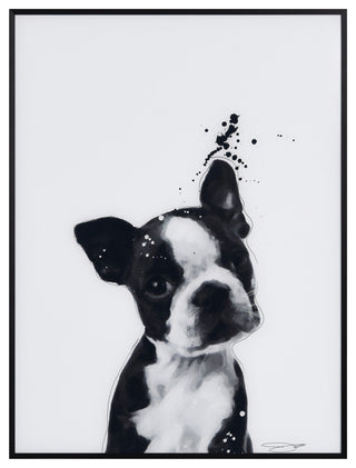 "Boston Terrier" Black and White Pet Art on Printed Glass with Anodized Frame