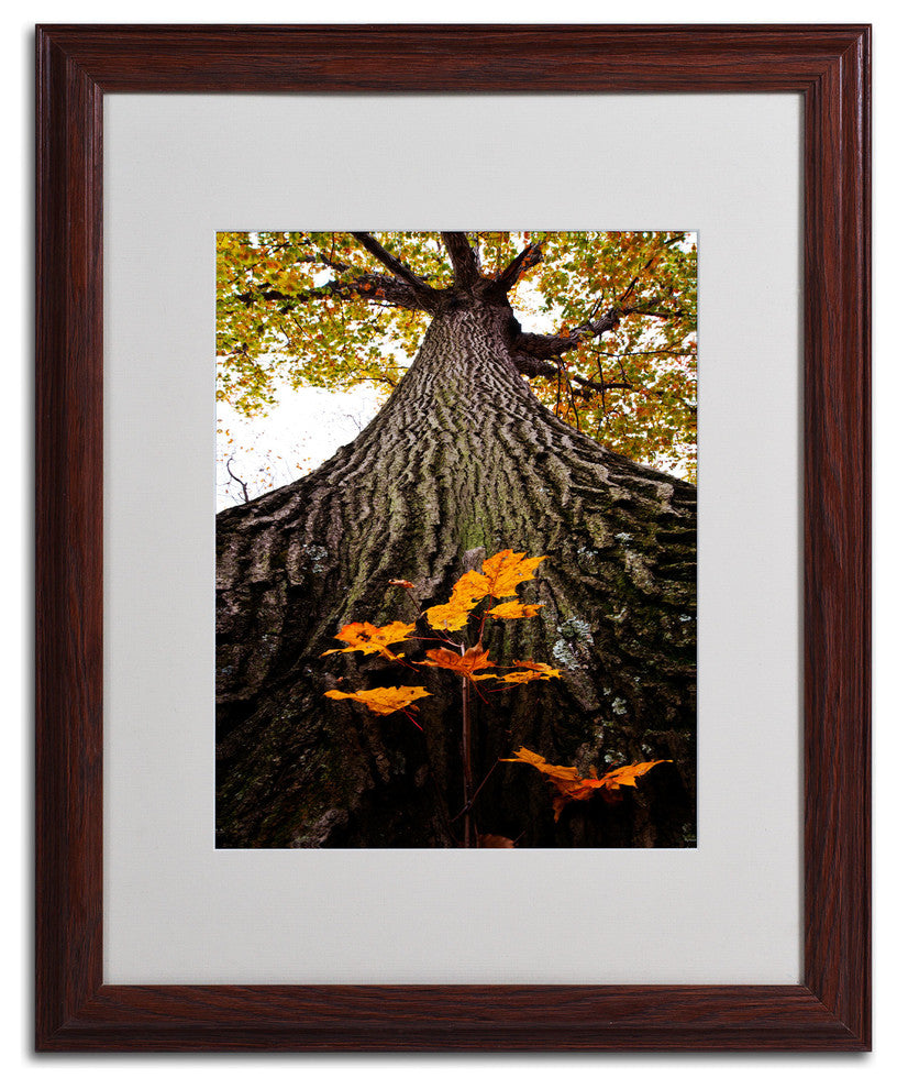 'Mighty Maple and Sapling' Matted Framed Canvas Art by Kurt Shaffer