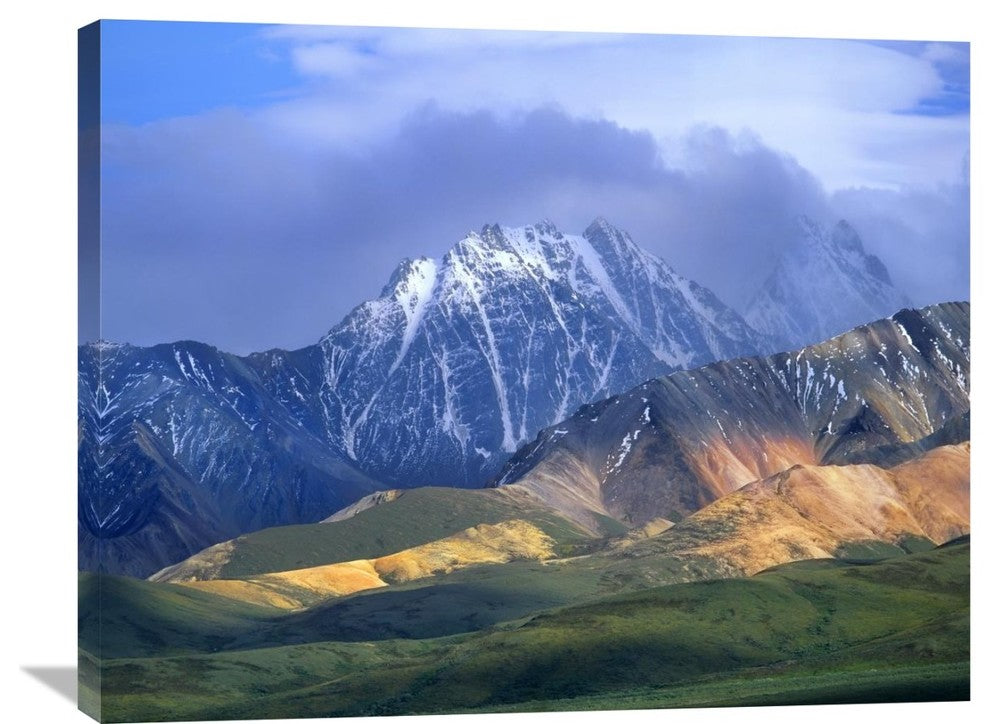 "Alaska Range And Foothills, Denali National Park, Alaska" Artwork, 35" x 28"