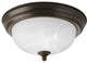 Progress Lighting 1-Light Close-To-Ceiling With Alabaster Glass Bowl