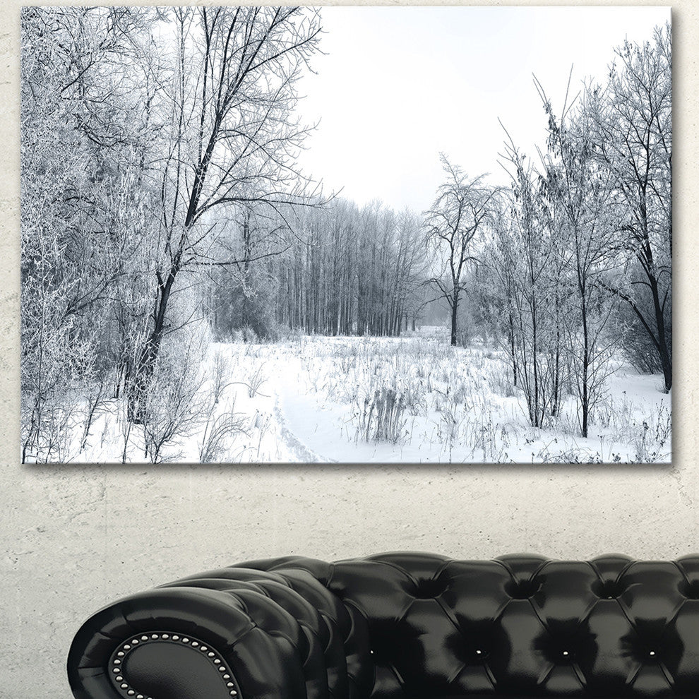 Beautiful Winter Panorama, Landscape Canvas Art Print, 40"x30"