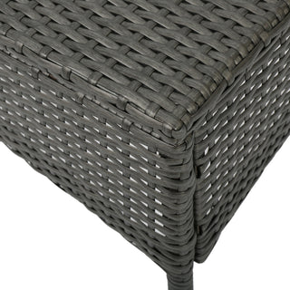 GDF Studio 2-Piece Fidelor Outdoor Gray PE Wicker Set