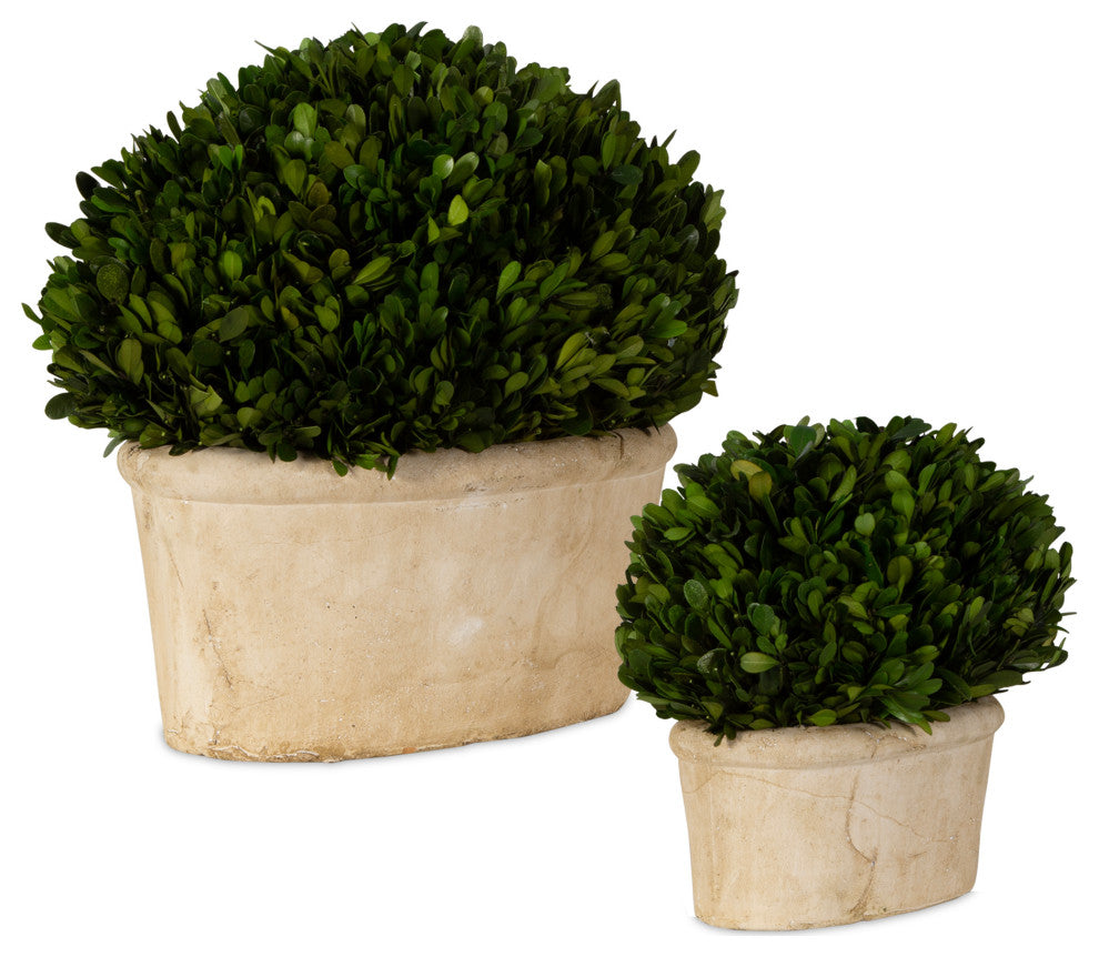 Another lifestyle shot in a home setting, clearly displaying the planters.