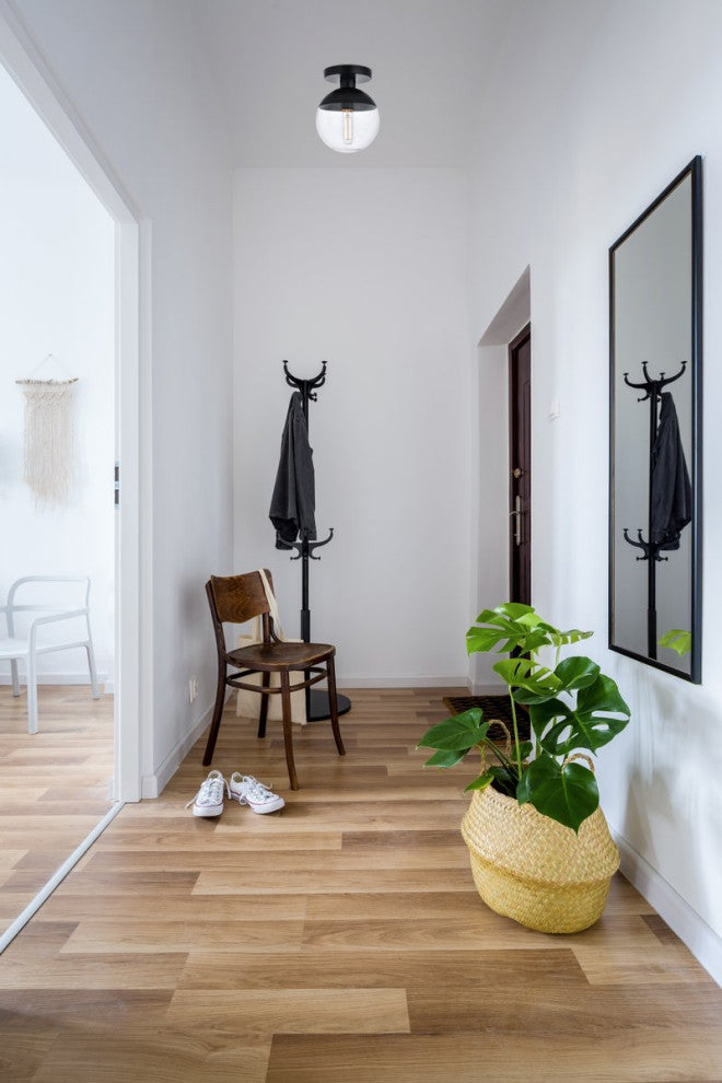 Midcentury Modern Black And Clear 1-Light <br>Flush Mount