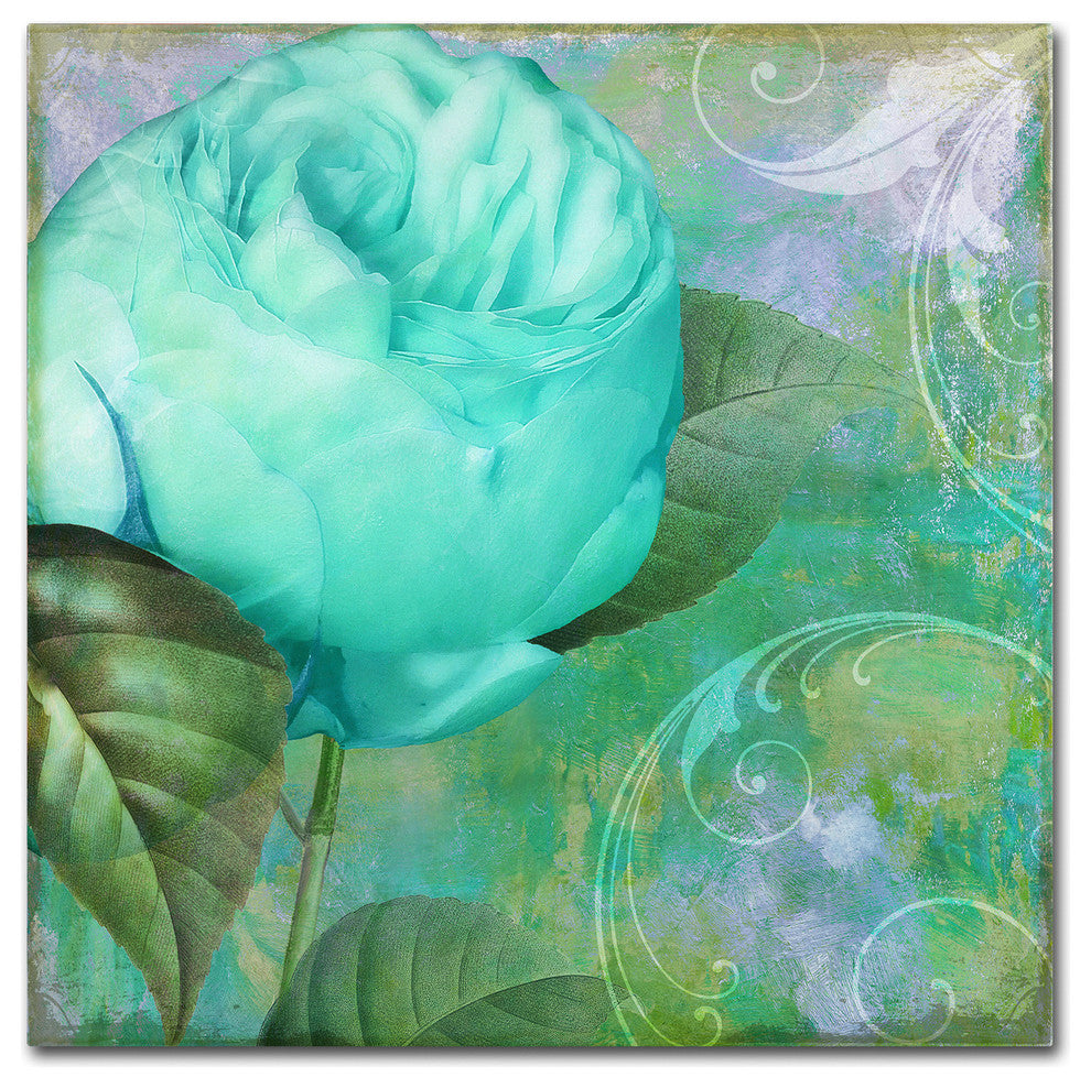 Color Bakery 'Aqua Rose I' Canvas Art, 24"x24"