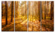 Bright Sunlight in Yellow Fall Forest, Forest Canvas Art, 48"x28", 4 Panels