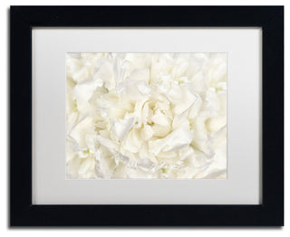 Cora Niele 'White Peony Flower' Matted Framed Art