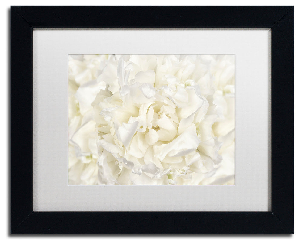 Cora Niele 'White Peony Flower' Matted Framed Art