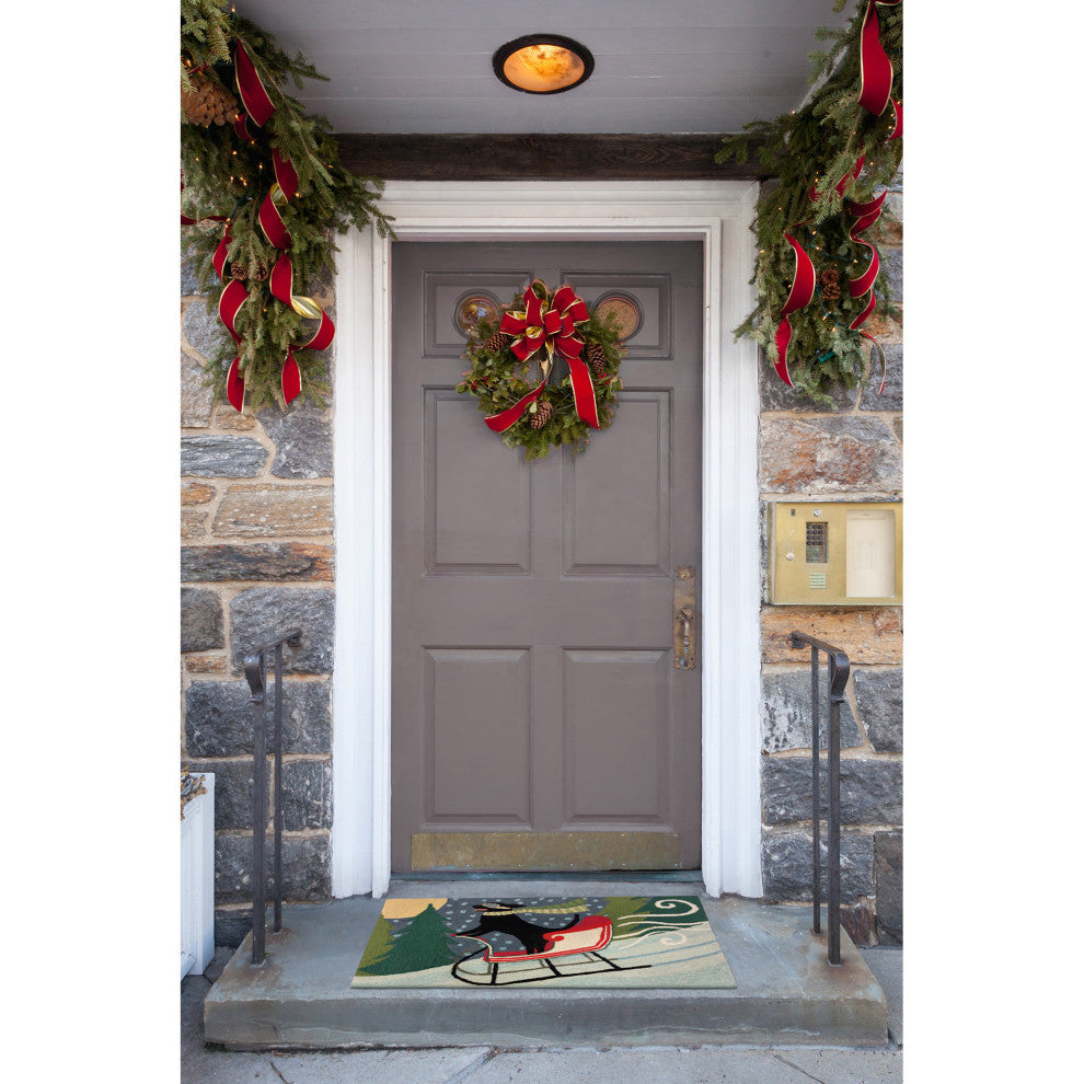 Frontporch Sledding Dog Indoor/Outdoor Rug Multi 2'6x4'