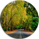 Road Through Stunning Greenery, Landscape Large Disc Metal Artwork, 11"
