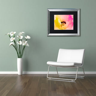 Color Bakery 'Poppy Gradient II' Art, Silver Frame, Black Matte, 14"x11"