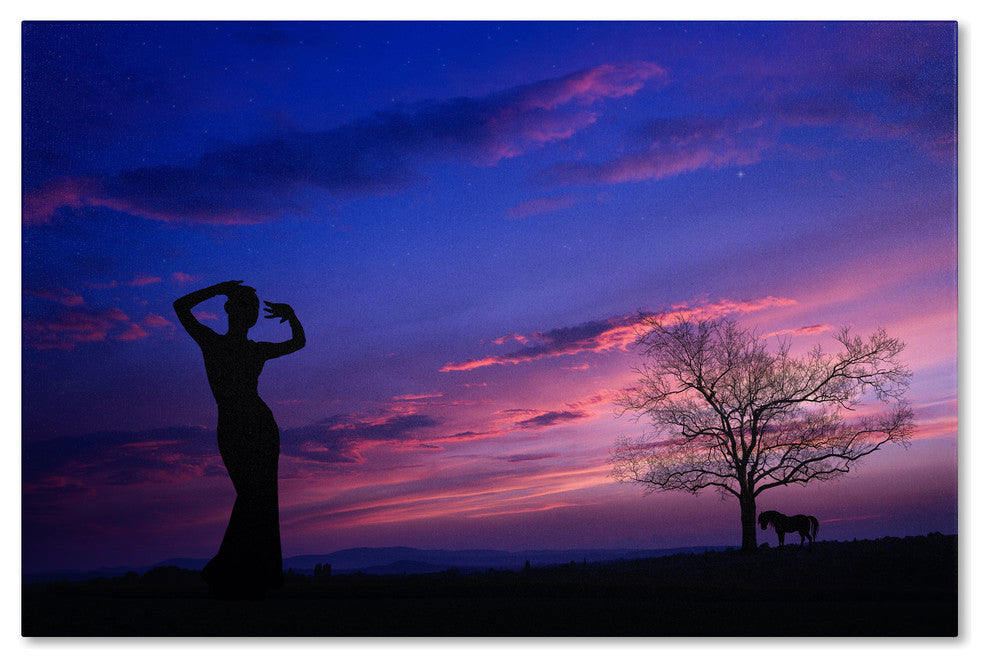 ''Dance for Me'' Canvas Art by Philippe Sainte-Laudy
