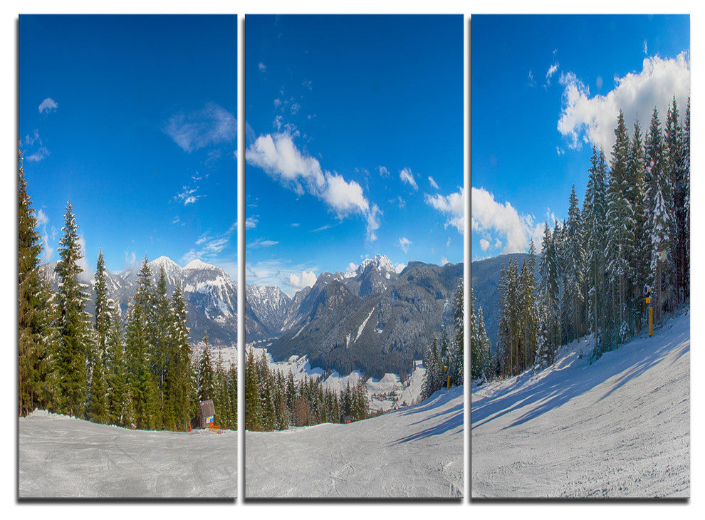 "Austrian Alps Seen From Ski Slope" Metal Wall Art, 3 Panels, 36"x28"