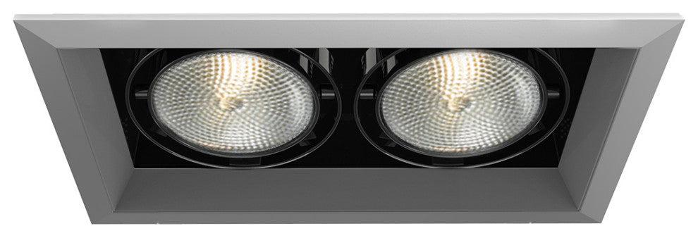 Eurofase TE132-0N Recessed, Platinum