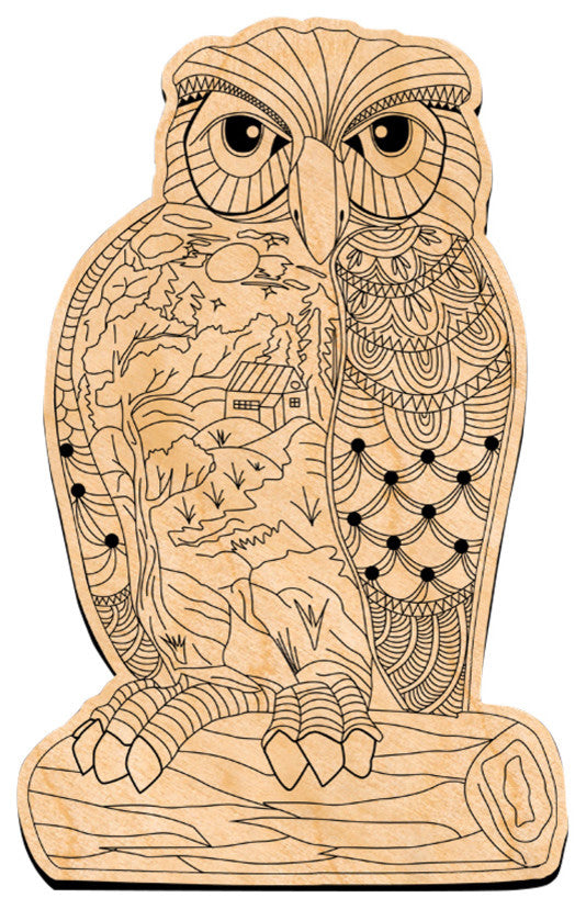 Owl Coloring  Decor Diy Artsy Birch Wood