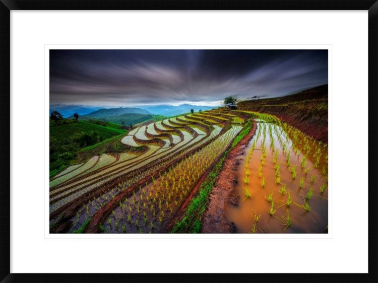 "Unseen Rice Field" Framed Digital Print by Tetra, 30x22"